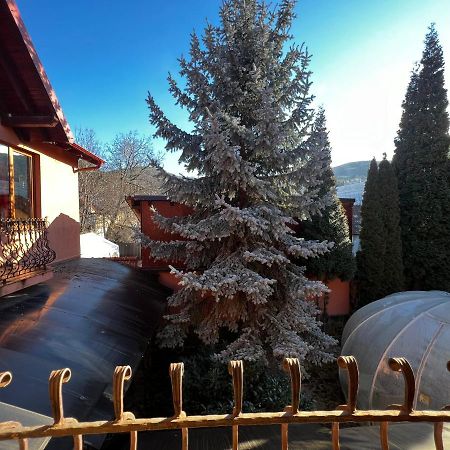 Anadi Hotel Boutique Brasov Bagian luar foto