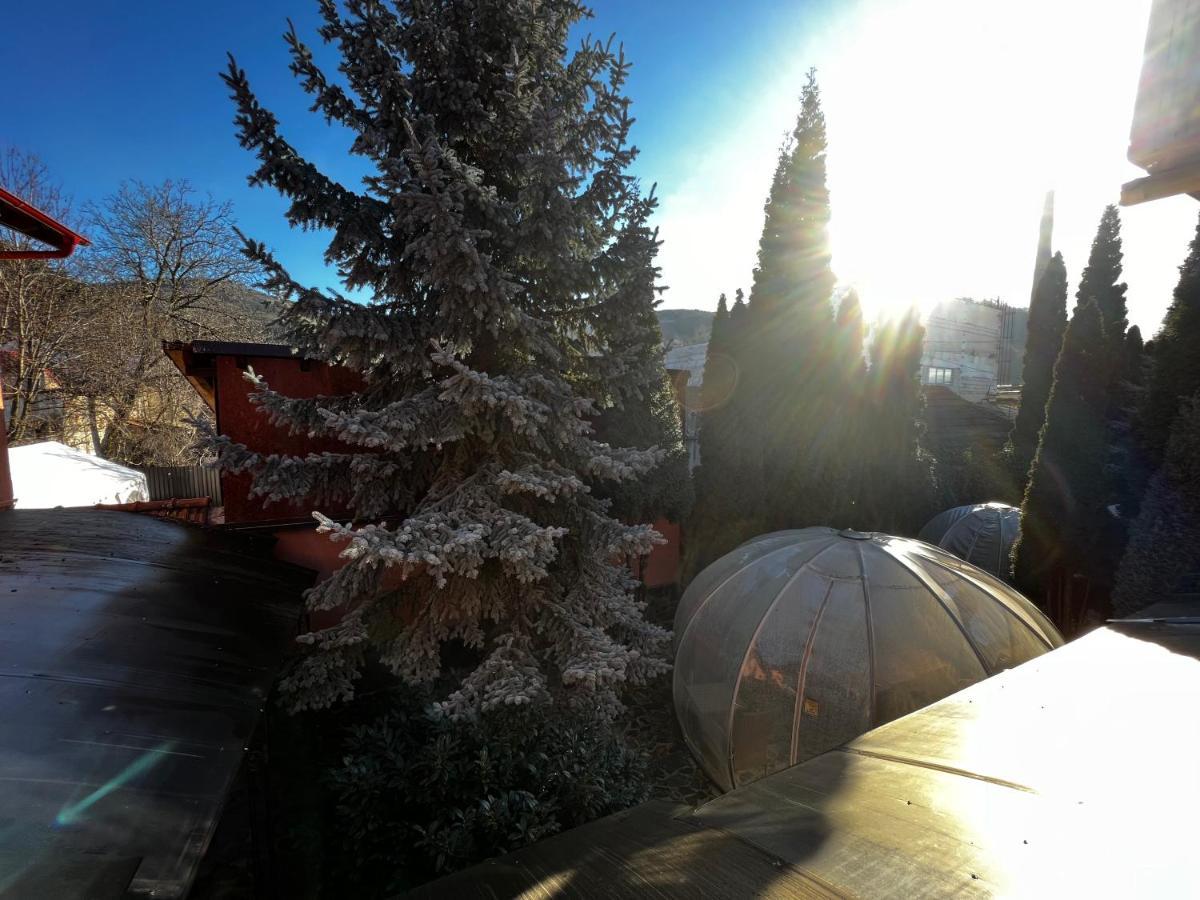 Anadi Hotel Boutique Only Adult Brasov Bagian luar foto